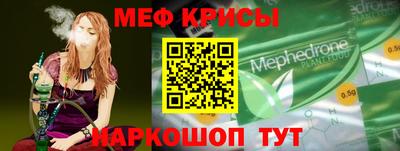 индика Кингисепп