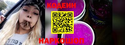 индика Кингисепп
