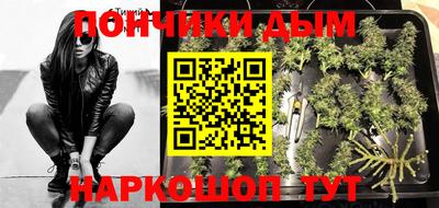 индика Кингисепп