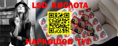 индика Кингисепп