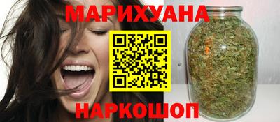 индика Кингисепп