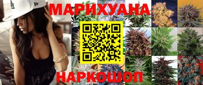 индика Кингисепп