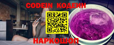 индика Кингисепп