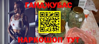 индика Кингисепп