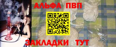 индика Кингисепп