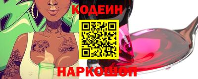 индика Кингисепп